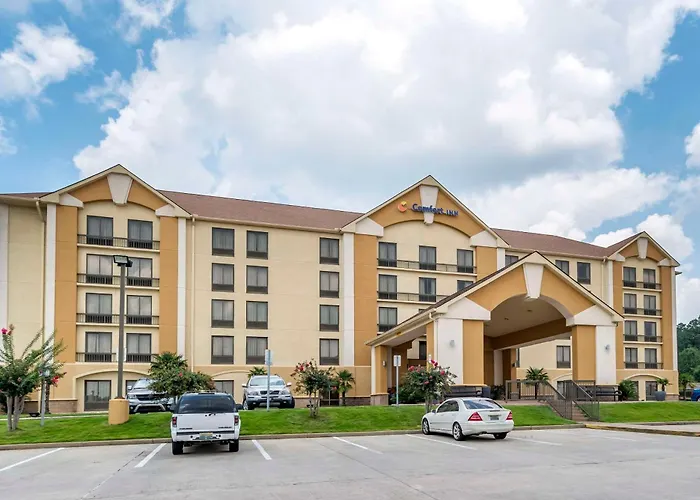 Motel: Comfort Inn Birmingham Homewood